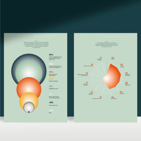 Infographie colorée et esthétique conçue pour valoriser des données dans un rapport annuel. Réalisée par Blou Design